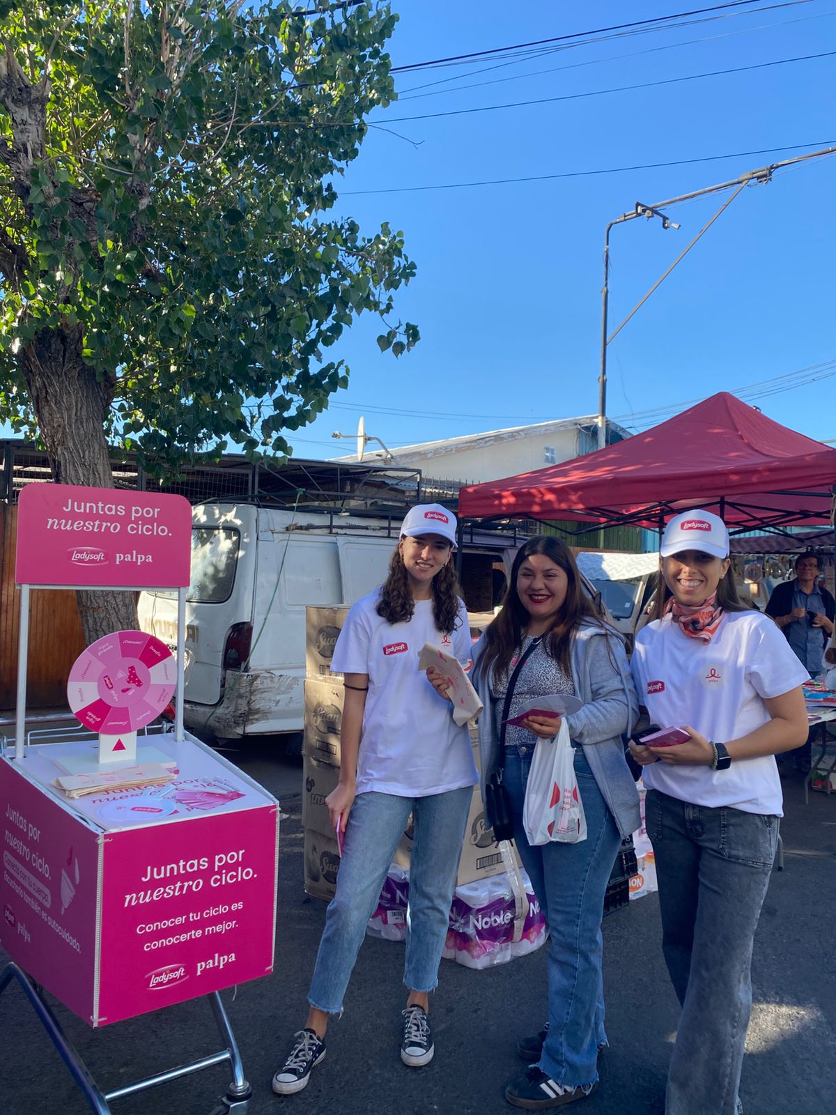herramientas-autoconocimiento-femenino-palpa-feria-softys